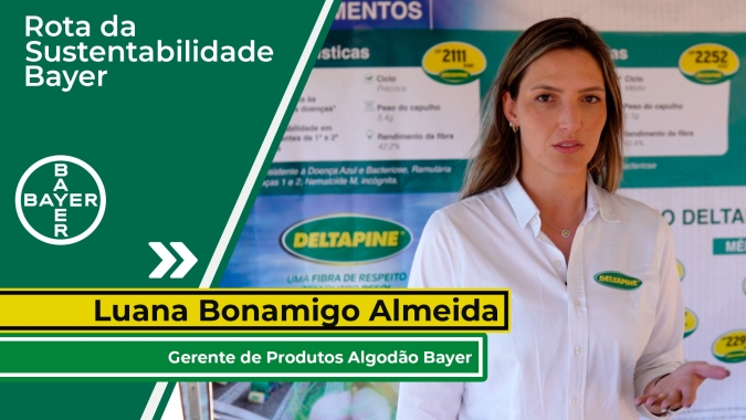 Bayer estuda particularidades da região de Catuti/MG e transforma produção de algodão