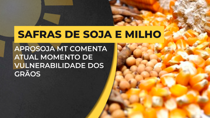 "Crise pode se aprofundar ainda mais se o governo continuar na falácia e não entrar em ação", afirma presidente da Aprosoja MT
