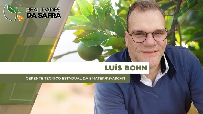 Rio Grande do Sul espera boas produtividades na citricultura em 2026