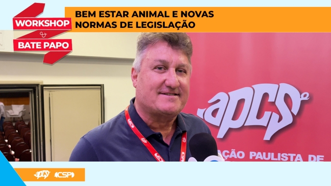 Preparar a matriz suína é essencial para desmamar mais leitões