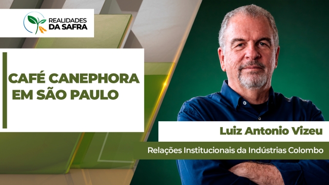 Projeto busca ampliar a produção do café canephora no estado de São Paulo