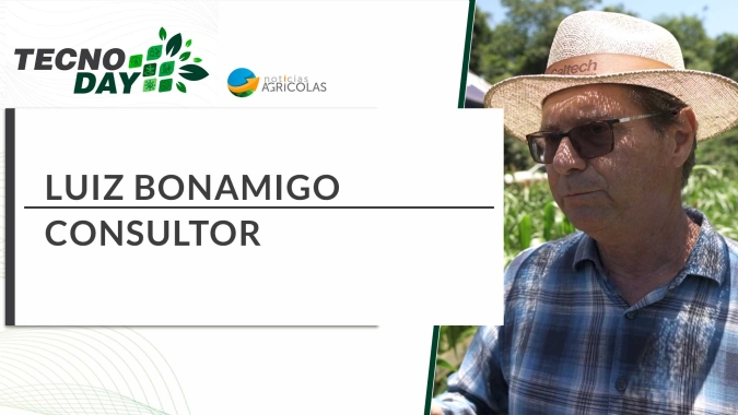 Entrevista com luiz Bonamigo - Consultor