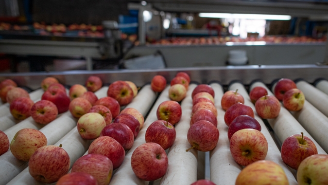 Comércio de frutas na Ceagesp de São Paulo deve crescer cerca de 30% neste fim de ano