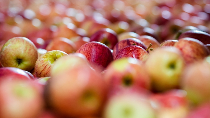 Exportação de frutas registra melhor outubro  em dez anos com vendas de US$ 177,5 milhões