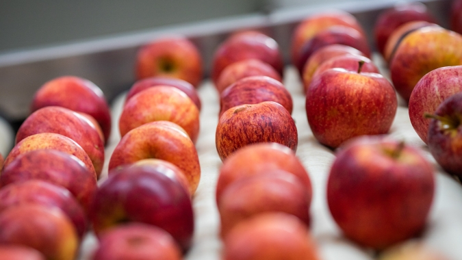 Indústria de frutas, flores, legumes e verduras apresenta oportunidades para impulsionar os mercados interno e externo