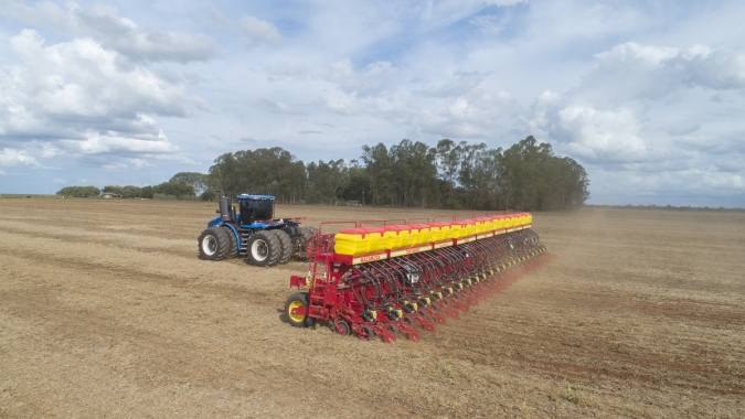 Plantio da soja atinge 5,28% no Brasil, aponta Pátria Agronegócio