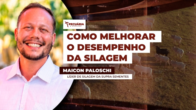 Silagem eficiente melhora rentabilidade das propriedades rurais