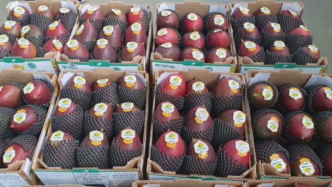 Exportações de frutas aceleram na segunda semana e reduzem queda no volume para 7%