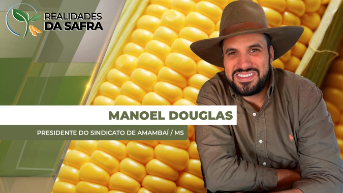 Amambai/MS já colheu 80% da soja com produtividades dentro da média esperada