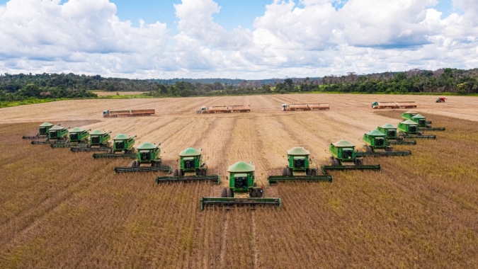 Bom Futuro já colheu 12,6% da sua área de soja em Mato Grosso