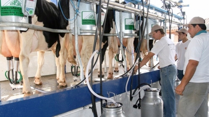 Planejamento possibilita férias para agricultores sem prejudicar atividade leiteira