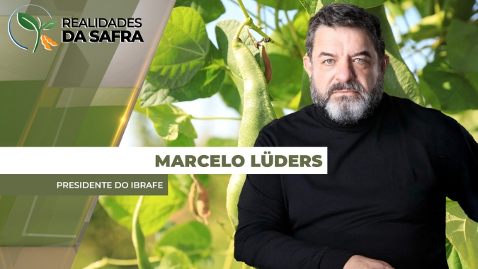 Dia do Feijão: produção o ano todo e renda no campo