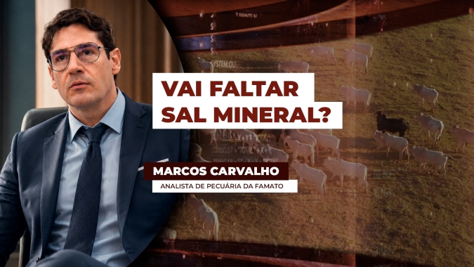 Escassez de insumo estratégico coloca pecuária em alerta