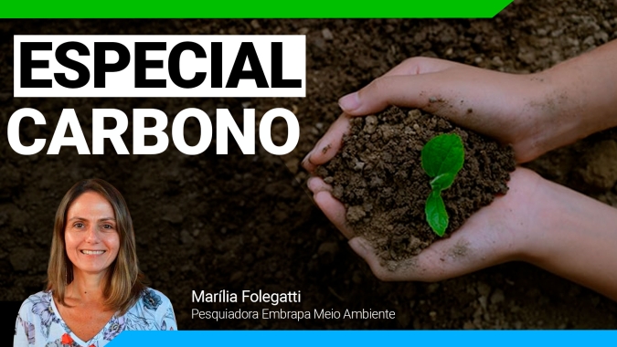Pegada de carbono no cultivo da soja brasileira é 3 a 4 vezes menor que a encontrada nas bases internacionais, aponta Embrapa