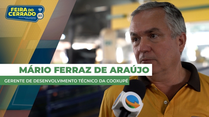 Fortes altas nos preços do café incentivam os produtores a realizarem investimentos na renovação dos cafezais