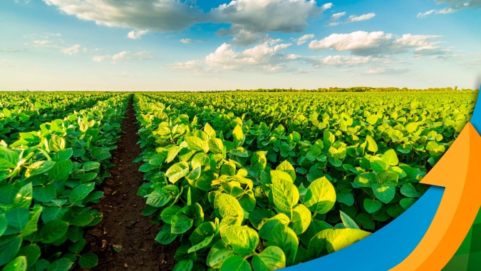 Marketing no Agro: Com conteúdos cada vez mais específicos, setor precisa de um mix de estratégias de comunicação que garantam objetividade da mensagem
