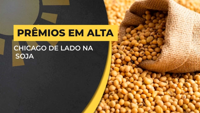 No Brasil, prêmios em ascensão são principal suporte para preços da soja diante das baixas em Chicago