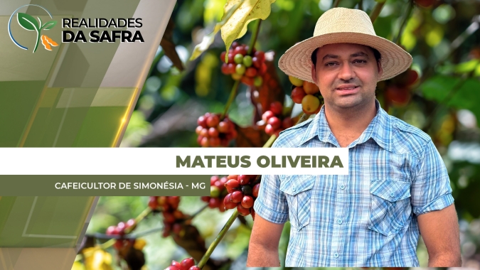 Cafezais de Simonésia/MG sofrem com seca e doenças