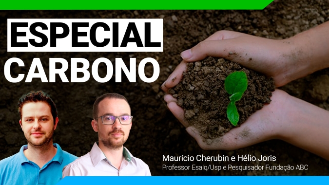 Plantas vivas são fundamentais no processo de remoção do carbono da atmosfera e fixação no solo e a intensificação do sistema vai garantir rentabilidade econômica