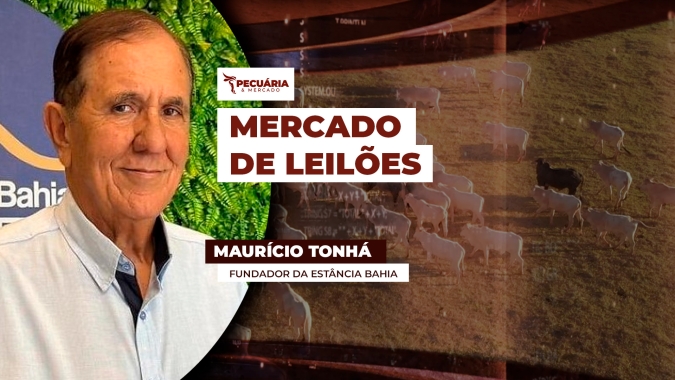 Maurício Tonhá explica o mercado de leilões e as demandas compradoras visando a pecuária de qualidade