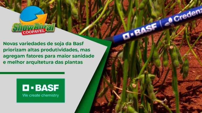 Novas variedades de soja da Basf priorizam altas produtividades, mas agregam fatores para maior sanidade e melhor arquitetura das plantas