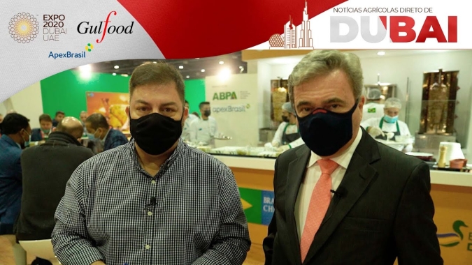 A produção de frango Halal já representa um terço das exportações brasileiras