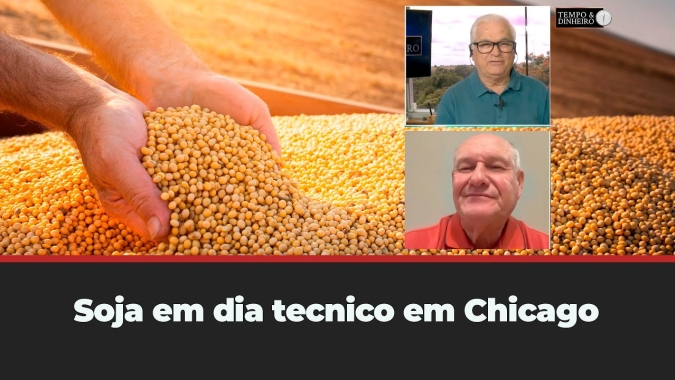 Soja com reação positiva no Brasil