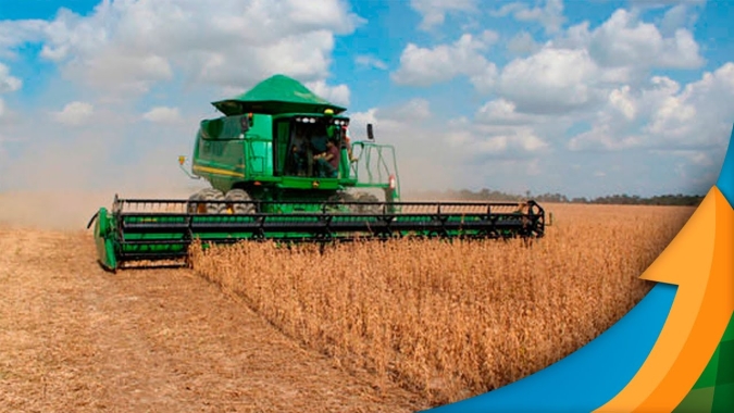 Campo Novo do Parecis/MT começou colheita da soja projetando superar média de produtividade da safra passada