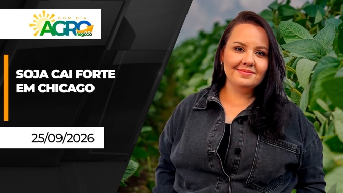 Bom Dia Agro - Commodities Agrícolas em Queda, Retomada do Café e Tensões Geopolíticas no Radar