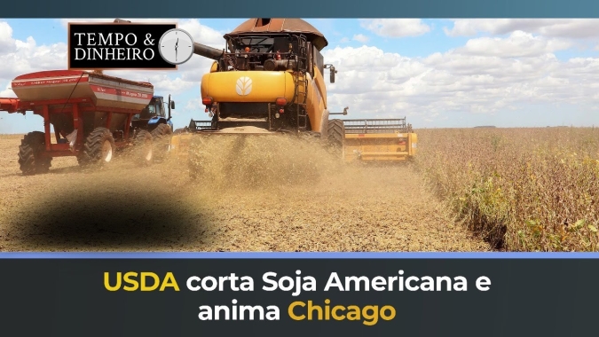 USDA corta Soja Americana e anima Chicago