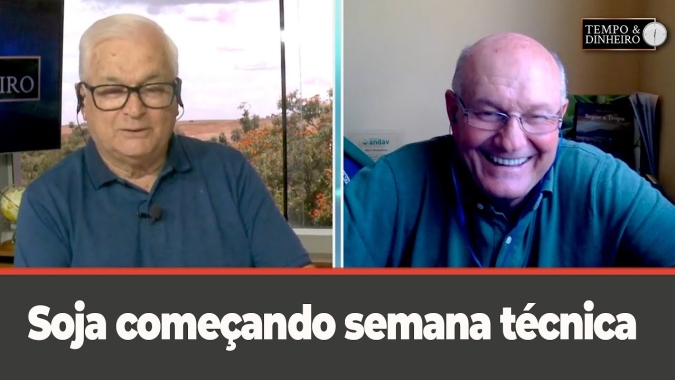 Soja começando semana técnica
