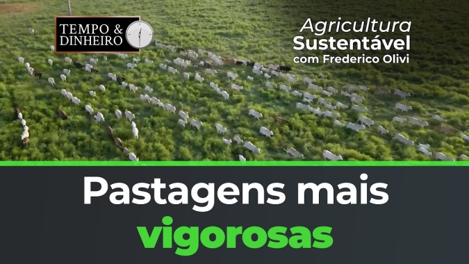 Riza sementes, Pastagens mais vigorosas