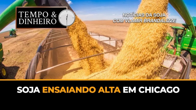 Soja ensaiando alta em Chicago
