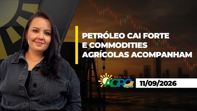 Petróleo cai forte e derruba commodities agrícolas nesta 6ª feira (11); açúcar lidera baixas