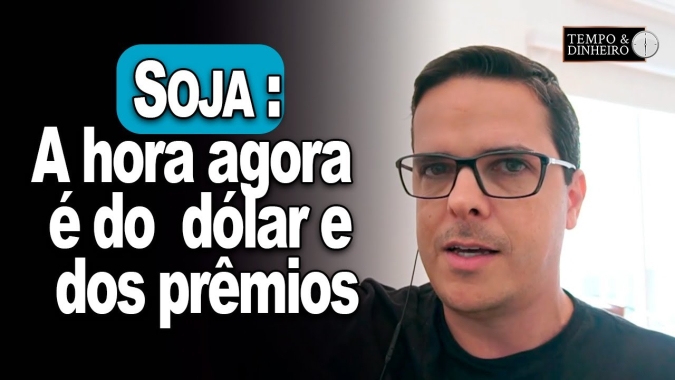 Soja: "A hora agora é do dólar e dos prêmios", orienta Maurício Bellinelo