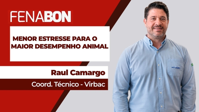 Do nascimento ao confinamento o estresse animal é fator importante de redução de desempenho
