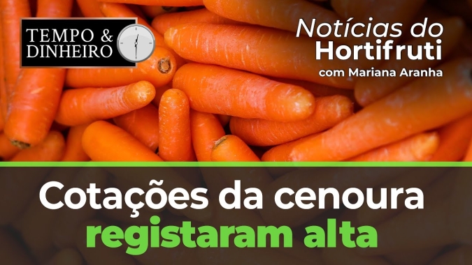 Cotações da cenoura registaram alta. Aumento também da manga Pálmer e Tommy