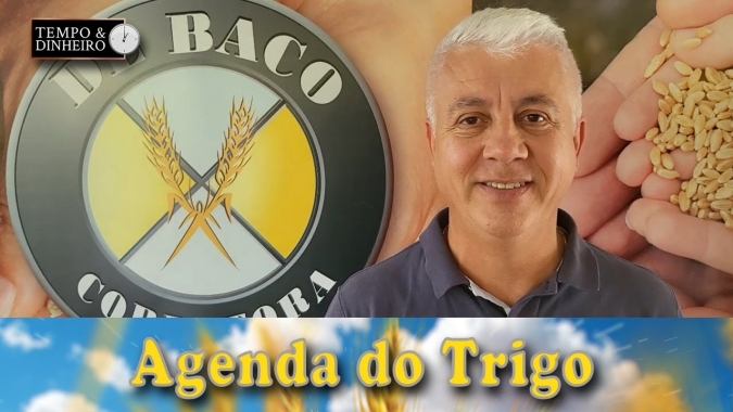 A oferta russa dá a direção do mercado...