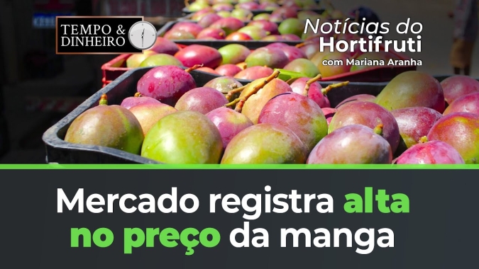 Mercado registra alta no preço da manga