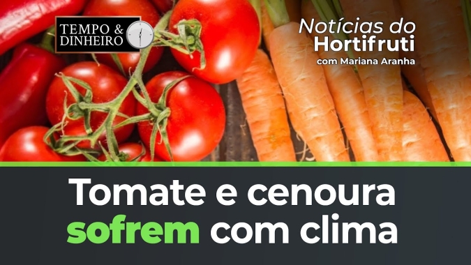 Clima mais frio prejudica desenvolvimento e maturação do tomate e da cenoura