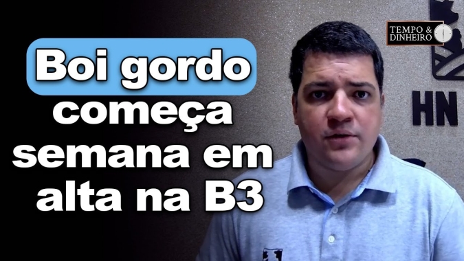 Boi gordo começa semana em alta na B3 e com recomposição de preços no mercado físico