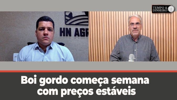 Boi gordo começa semana com preços estáveis e na gangorra na B3. análise de Hyberville Neto
