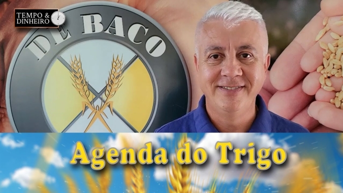Trigo: governo russo fala em taxar exportações; Argentina sem saldo