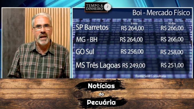 Boi gordo observa cauteloso mercado interno e Indonésia