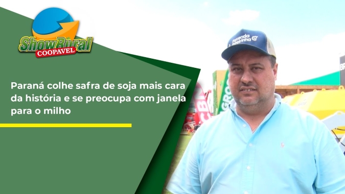 Paraná colhe safra de soja mais cara da história e se preocupa com janela para o milho