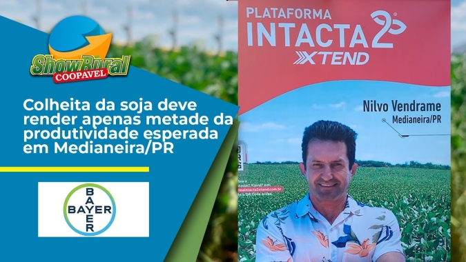 Colheita da soja deve render apenas metade da produtividade esperada em Medianeira/PR