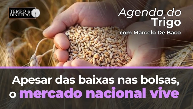 Apesar das atuais baixas nas bolsas, o mercado nacional vive outra realidade