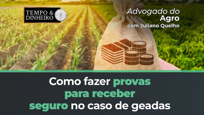 Advogado do Agro aconselha como fazer provas para receber seguro no caso de geadas