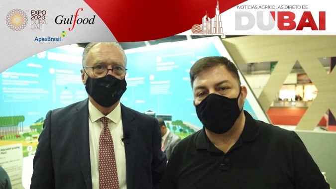 Carne brasileira foca em mercados mais exigentes como Japão e  Coreia do Sul em busca de melhor remuneração