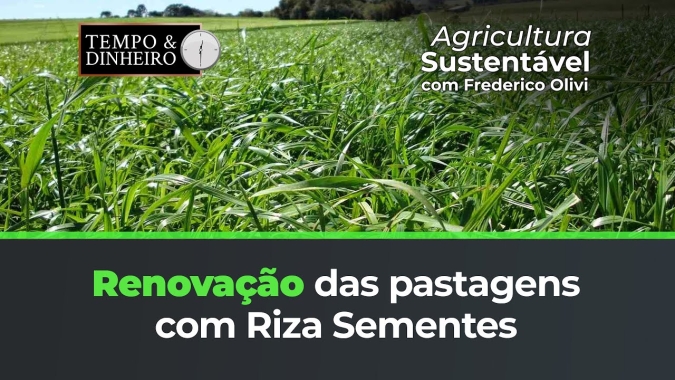 A melhoria e a renovação das pastagens com as as variedades da Riza Sementes